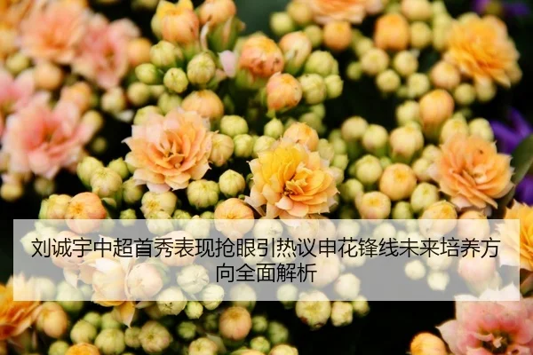 刘诚宇中超首秀表现抢眼引热议申花锋线未来培养方向全面解析